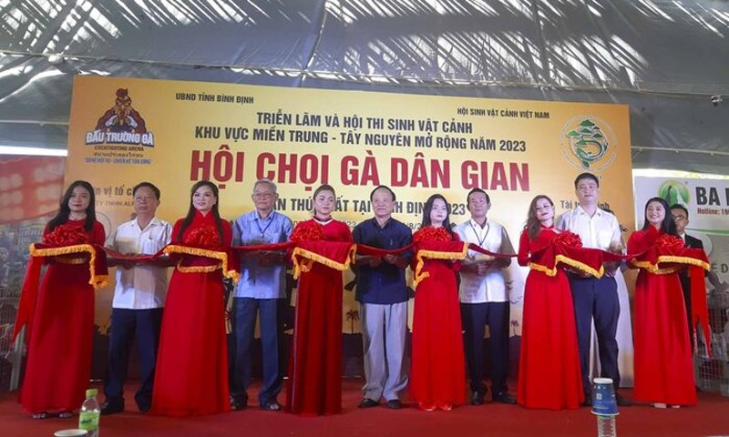 Hội Chọi gà dân gian lần thứ nhất tổ chức tại Bình Định