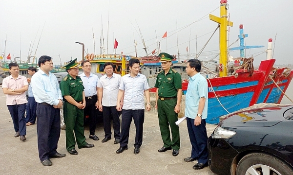 Nam Định: Xử lý nghiêm các tàu khai thác hải sản bất hợp pháp, không báo cáo và không theo quy định IUU