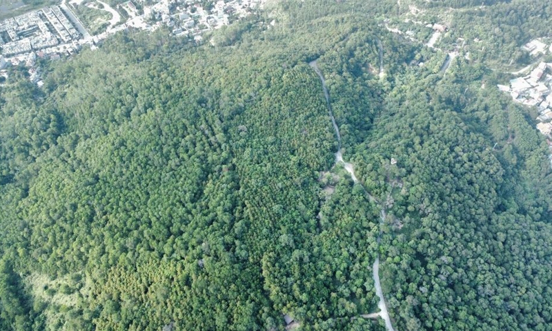 Kiểm kê khí nhà kính lĩnh vực rừng và đất lâm nghiệp 2 năm 1 lần