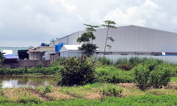 Thái Bình: Biệt thự, nhà xưởng xây dựng trái phép trên đất nông nghiệp