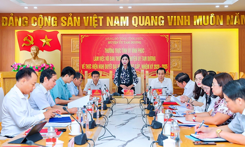 Tam Dương (Vĩnh Phúc): Kết quả triển khai thực hiện Nghị quyết Đại hội Đảng bộ các cấp, nhiệm kỳ 2020-2025