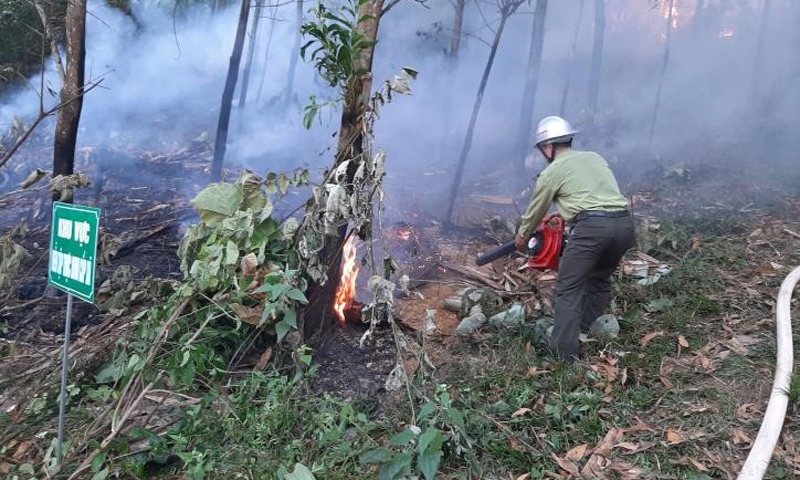Bắc Giang: Triển khai công tác phòng cháy, chữa cháy rừng mùa khô 2023 - 2024