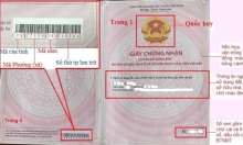 Kon Tum: Chuyển hồ sơ cho cơ quan Công an Điều tra vụ làm giả Giấy chứng nhận quyền sử dụng đất