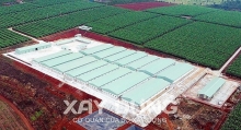 Huyện Đắk Đoa (Gia Lai): Trại chăn nuôi lợn hơn 100 tỷ không phép khi nào tháo dỡ?