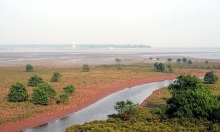 Luật hoá quy định liên quan đến chế độ sử dụng đất bãi bồi ven sông, ven biển