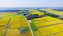 Chuyển mục đích sử dụng đất cần áp dụng những quy định nào?