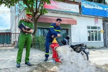 phe duyet nhiem vu lap quy hoach ha tang phong chay va chua chay thoi ky 2021 2030