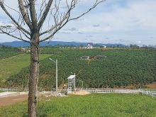 bat dong san nghi duong phuc hoi sau covid 19