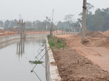 Vĩnh Phúc: Cần xử lý nghiêm kẻ triệt hạ cây xanh tại Cụm công nghiệp làng nghề Minh Phương
