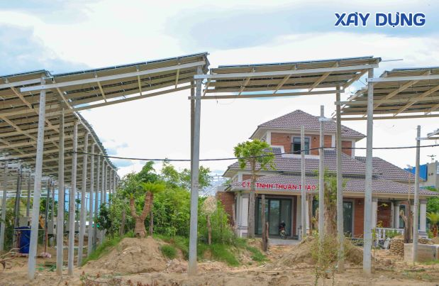 ninh thuan dinh nhieu sai pham cong ty tnhh thuan thao bi tuyt coi