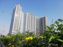 xac dinh dien tich chung rieng va viec thu phi quan ly doi voi cac can ho chua ban