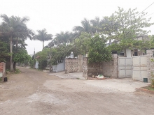 cam pha quang ninh phat hien xom tu phat tren phuong cua ong