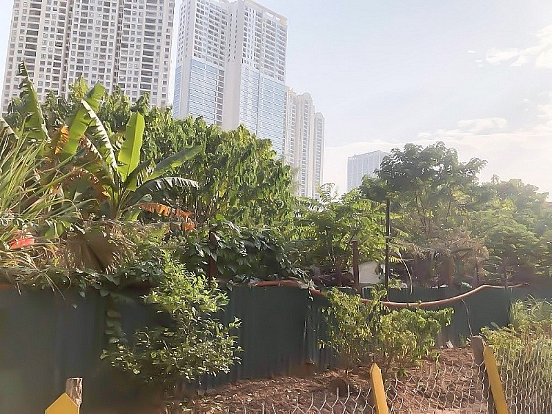 Hàng loạt dự án bất động sản của Tập đoàn Bảo Việt “bỏ hoang” nhiều năm