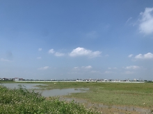 dau tu hang loat cac du an lieu tap doan th co thuc hien duoc nhu hua hen