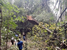 Quan Sơn (Thanh Hóa): Liên tiếp xảy ra các vụ phá rừng hàng loạt cán bộ bị xem xét, xử lý trách nhiệm