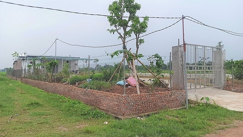 Thường Tín (Hà Nội): Chính quyền có “làm ngơ” trước những vi phạm trật tự xây dựng trên đất nông nghiệp tại xã Ninh Sở?
