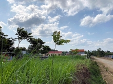 Thanh Hóa: Chỉ đạo xử lý thông tin PL&XD phản ánh