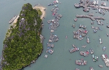chu tich ubnd huyen van don quang ninh phan hoi noi dung plxd phan anh lien quan den quy hoach chi tiet phan khu cai rong