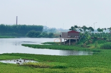bac giang buoc thao do doi voi cong trinh sai pham cua gia dinh giam doc so giao thong van tai