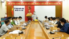 ba che quang ninh yeu cau chu rung hoan tho sau khi tu y pha rung mo xuong bam go trai phep