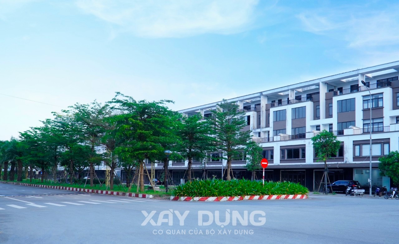 Liên minh HTX Việt Nam: Dùng trụ sở cơ quan ở miền Trung để… nuôi yến