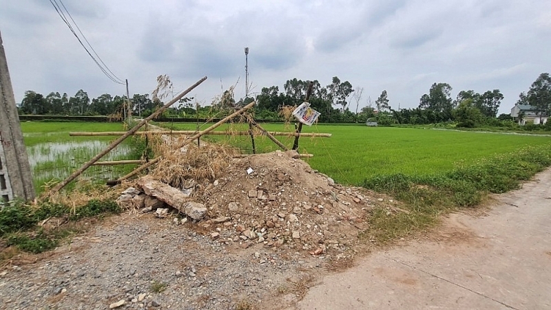 Yên Mô (Ninh Bình): Dân bức xúc vì trang trại lợn gây ô nhiễm