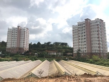 Lâm Đồng: Một dự án ký túc xá bị thu hồi hơn 13 tỷ đồng