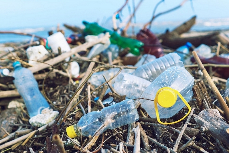 Mối nguy rác thải nhựa