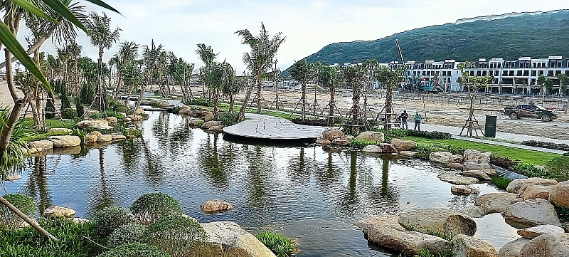 Khám phá hồ cá Koi dài nhất Việt Nam