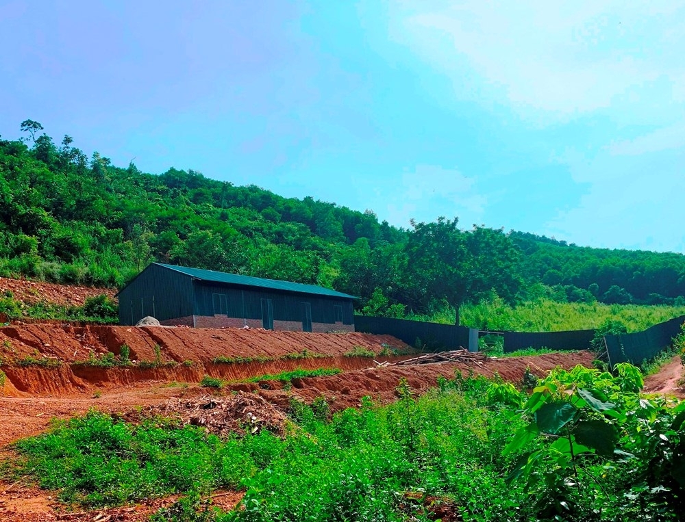 Thanh Hóa: UBND huyện Thạch Thành phản hồi nội dung Báo PL&XD phản ánh
