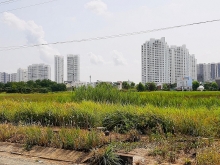 Thế nào bị coi là chuyển mục đích sử dụng đất trái phép?