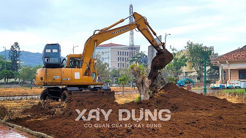 Huyện đảo Lý Sơn lại chi chục tỷ trồng cây xanh, cải tạo Quảng trường