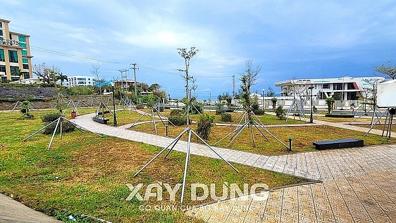 Huyện đảo Lý Sơn lại chi chục tỷ trồng cây xanh, cải tạo Quảng trường